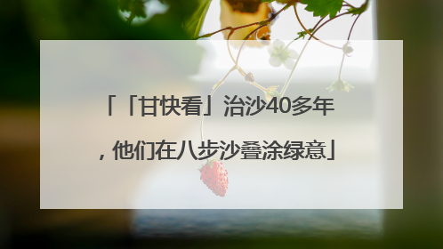 「甘快看」治沙40多年，他们在八步沙叠涂绿意