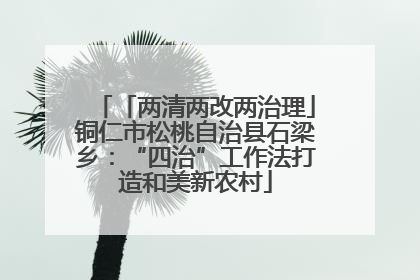 「两清两改两治理」铜仁市松桃自治县石梁乡：“四治”工作法打造和美新农村