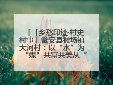 「乡愁印迹·村史村事」瓮安县猴场镇大河村：以“水”为“媒”共富共美从“河”而来