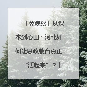 「冀观察」从课本到心田：河北如何让思政教育真正“活起来”？
