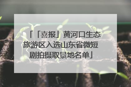 「喜报」黄河口生态旅游区入选山东省微短剧拍摄取景地名单