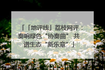 「地评线」荔枝网评：奏响绿色“协奏曲” 共谱生态“新乐章”