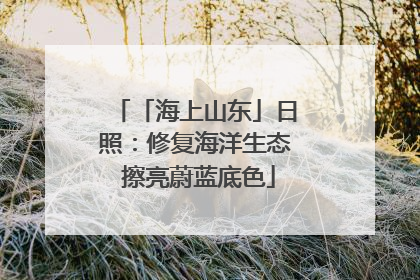 「海上山东」日照：修复海洋生态 擦亮蔚蓝底色