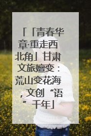 「青春华章·重走西北角」甘肃文旅嬗变：荒山变花海，文创“语”千年