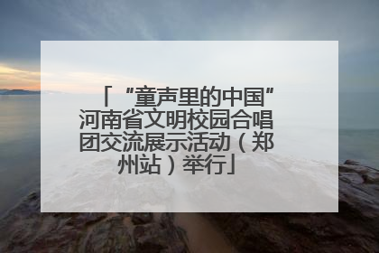 “童声里的中国”河南省文明校园合唱团交流展示活动（郑州站）举行