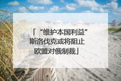 “维护本国利益” 斯洛伐克或将阻止欧盟对俄制裁
