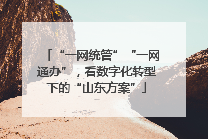 “一网统管”“一网通办”，看数字化转型下的“山东方案”