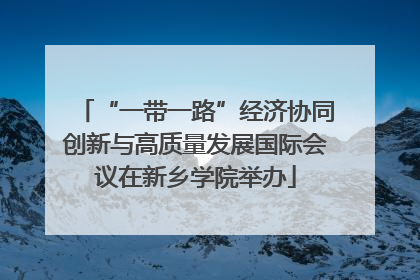 “一带一路”经济协同创新与高质量发展国际会议在新乡学院举办