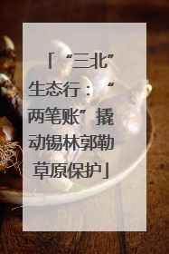 “三北”生态行：“两笔账”撬动锡林郭勒草原保护