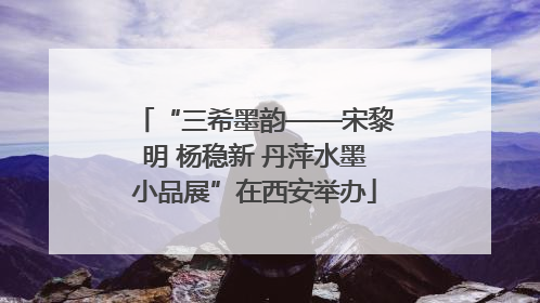 “三希墨韵——宋黎明 杨稳新 丹萍水墨小品展”在西安举办