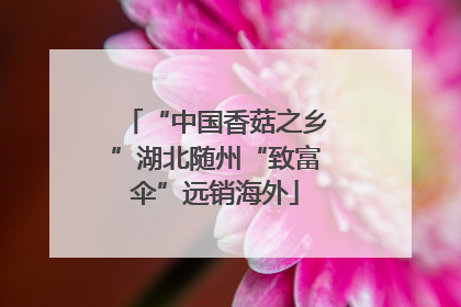 “中国香菇之乡”湖北随州“致富伞”远销海外