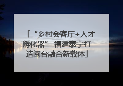 “乡村会客厅+人才孵化器” 福建泰宁打造闽台融合新载体