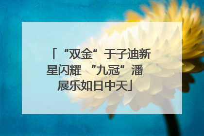“双金”于子迪新星闪耀 “九冠”潘展乐如日中天