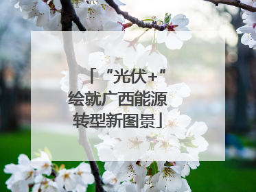 “光伏+”绘就广西能源转型新图景