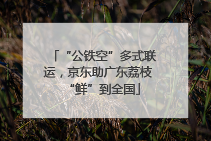 “公铁空”多式联运，京东助广东荔枝“鲜”到全国