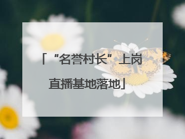 “名誉村长”上岗 直播基地落地