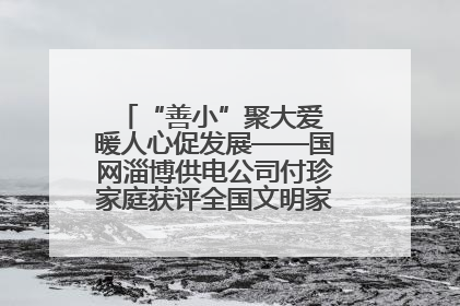 “善小”聚大爱 暖人心促发展——国网淄博供电公司付珍家庭获评全国文明家庭背后的文明密码