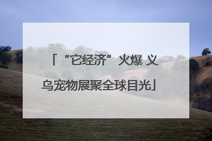 “它经济”火爆 义乌宠物展聚全球目光
