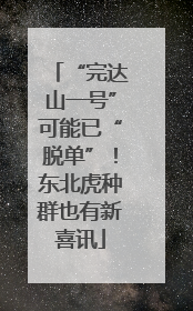 “完达山一号”可能已“脱单”！东北虎种群也有新喜讯