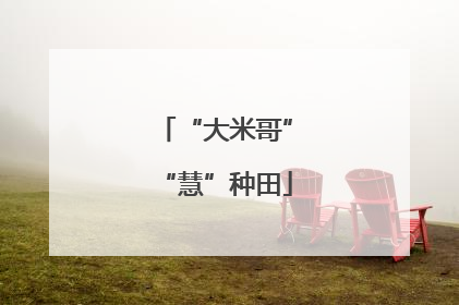 “大米哥”“慧”种田