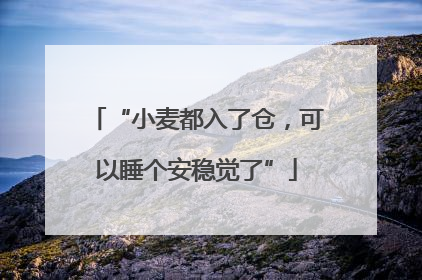 “小麦都入了仓，可以睡个安稳觉了”
