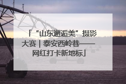 “山东邂逅美”摄影大赛｜泰安西岭巷——网红打卡新地标