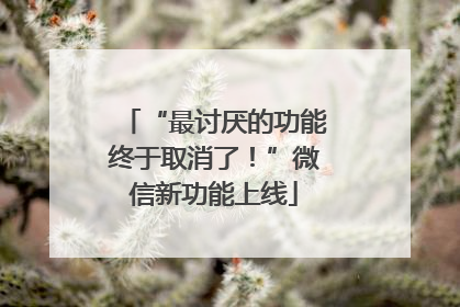 “最讨厌的功能终于取消了！”微信新功能上线