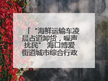 “海鲜运输车凌晨占道卸货，噪声扰民” 海口博爱街道城市综合行政执法中队：将联合交警加强长堤路一带巡逻