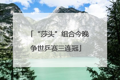 “莎头”组合今晚争世乒赛三连冠