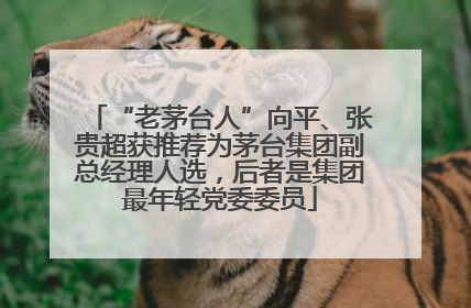 “老茅台人”向平、张贵超获推荐为茅台集团副总经理人选，后者是集团最年轻党委委员