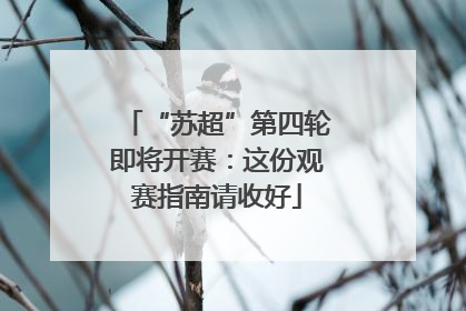 “苏超”第四轮即将开赛：这份观赛指南请收好