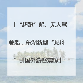 “超跑”船、无人驾驶船，东湖新型“龙舟”引国外游客震惊