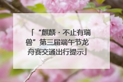 “麒麟・不止有瑞兽”第三届端午节龙舟赛交通出行提示