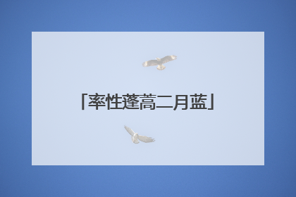 率性蓬蒿二月蓝
