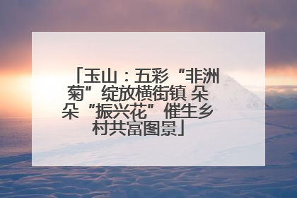 玉山：五彩“非洲菊”绽放横街镇 朵朵“振兴花”催生乡村共富图景