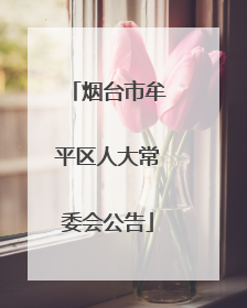 烟台市牟平区人大常委会公告