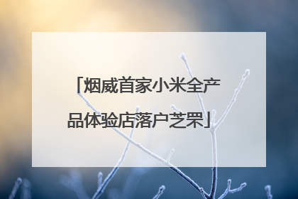 烟威首家小米全产品体验店落户芝罘