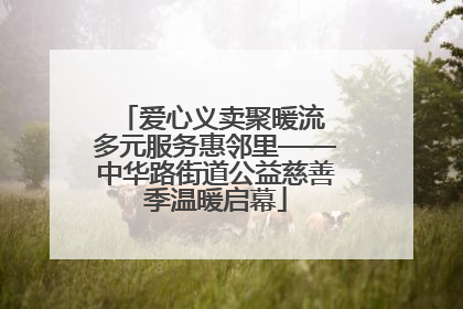 爱心义卖聚暖流 多元服务惠邻里——中华路街道公益慈善季温暖启幕
