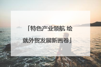 特色产业领航 绘就外贸发展新画卷