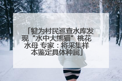 犍为村民巡查水库发现“水中大熊猫”桃花水母 专家：将采集样本鉴定具体种属