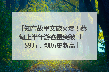 知音故里文旅火爆！蔡甸上半年游客量突破1159万，创历史新高
