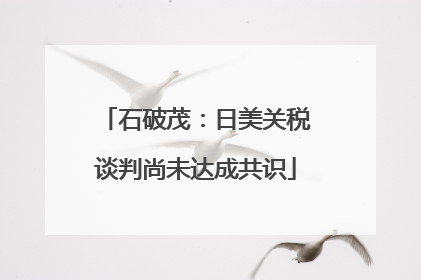 石破茂：日美关税谈判尚未达成共识