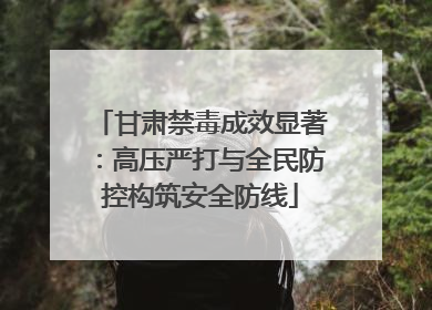 甘肃禁毒成效显著：高压严打与全民防控构筑安全防线