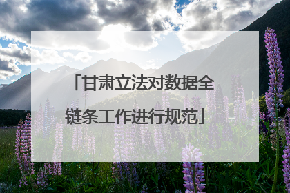甘肃立法对数据全链条工作进行规范