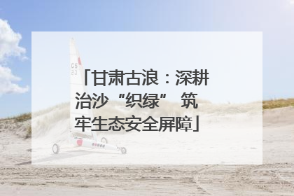 甘肃古浪：深耕治沙“织绿” 筑牢生态安全屏障