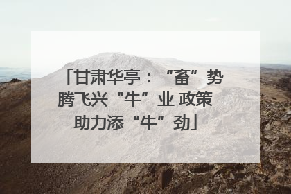 甘肃华亭：“畜”势腾飞兴“牛”业 政策助力添“牛”劲