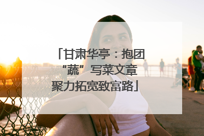 甘肃华亭：抱团“蔬”写菜文章 聚力拓宽致富路