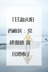 甘肃庆阳西峰区：党建强链 富民增收