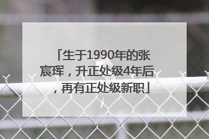 生于1990年的张宸珲，升正处级4年后，再有正处级新职