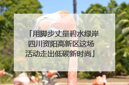 用脚步丈量碧水绿岸 四川资阳高新区这场活动走出低碳新时尚